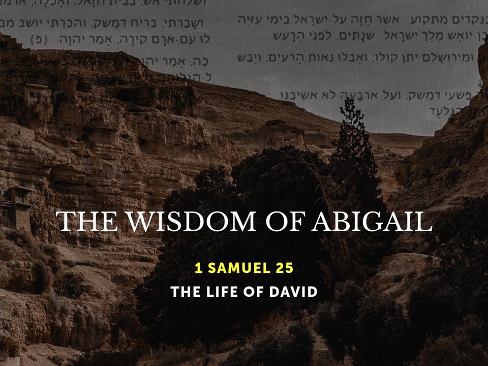 The Wisdom of Abigail