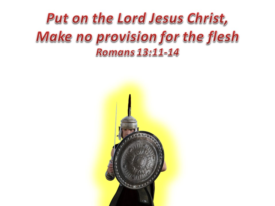 Make No Provision For The Flesh